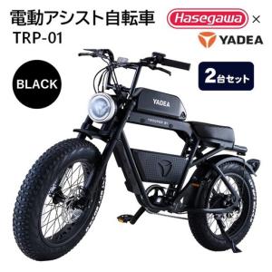 ふるさと納税 【２台セット】電動アシスト自転車 TRP-01 ブラック 電動 自転車 バイク 移動 アシスト 油圧ディスク 液晶 500W 前後サスペンショ.. 兵庫県西脇市