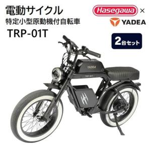 ふるさと納税 【特定小型原動機付自転車】【２台セット】運転免許不要 電動サイクル TRP-01T【ハセガワモビリティ×YADEA】 兵庫県西脇市