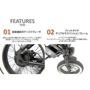ふるさと納税 【特定小型原動機付自転車】【2台...の詳細画像1