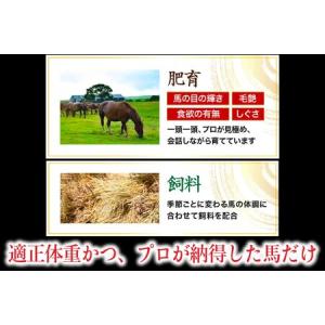 ふるさと納税 〈令和8年10月出荷〉肥後の桜馬...の詳細画像1