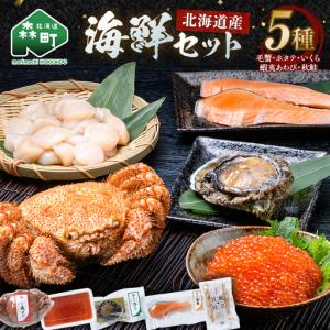 ふるさと納税 北海道産 海鮮五種 極み特選セット （毛蟹・ホタテ・いくら・蝦夷あわび・秋鮭） ＜ワイエスフーズ＞ 森町 海産物 魚貝類 ふるさと納.. 北海道森町