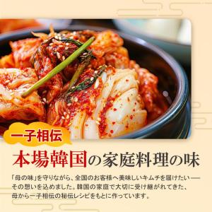 ふるさと納税 【12カ月定期便】5種の本格キム...の詳細画像1