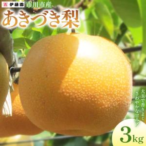 ふるさと納税 市川の梨　あきづき　5玉〜7玉　【12203-0459】 なし ナシ 市川のなし 果物 くだもの フルーツ 市川市 梨の伊藤園 千葉県市川市