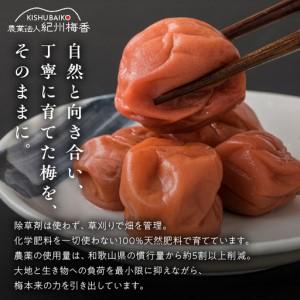 ふるさと納税 KS1001_梅干し 訳ありはち...の詳細画像3