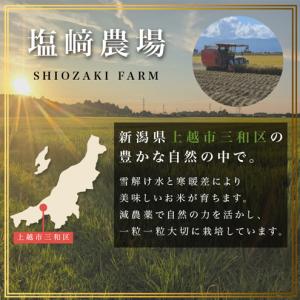 ふるさと納税 【先行予約 10月より順次出荷】...の詳細画像1