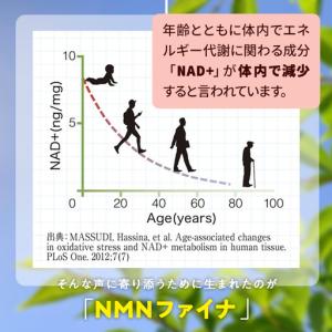 ふるさと納税 <1回配送>完全国内生産のNMN...の詳細画像3