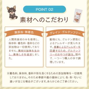ふるさと納税 ペットフード研究所 国産無添加 ...の詳細画像3