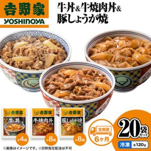 ふるさと納税 吉野家 定期便 6か月 牛丼&牛焼肉丼&豚しょうが焼 計20袋 吉野家 新潟県十日町市