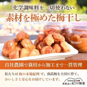 ふるさと納税 【訳あり】【はちみつ梅】無添加梅...の詳細画像1