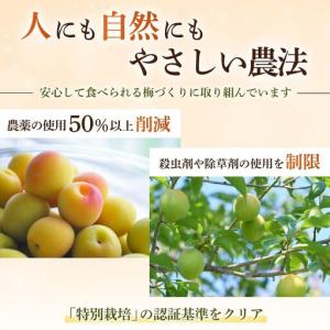 ふるさと納税 【訳あり】【はちみつ梅】無添加梅...の詳細画像2
