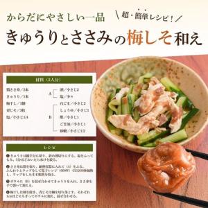 ふるさと納税 【訳あり】【はちみつ梅】無添加梅...の詳細画像3