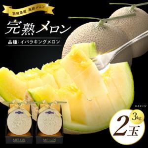 ふるさと納税 【先行予約】【2027年5月より順...の商品画像
