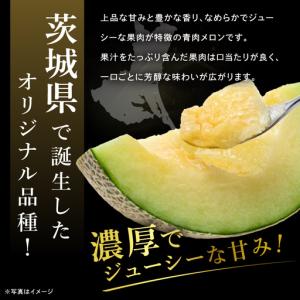 ふるさと納税 【先行予約】【2027年5月より...の詳細画像4