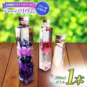 ふるさと納税 【アルル】 信州産 ドライフラワー の ハーバリウム 1本 ブルー系 おまかせ 長野県原村