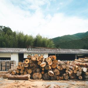 ふるさと納税 【12回定期便 計720kg】広...の詳細画像1