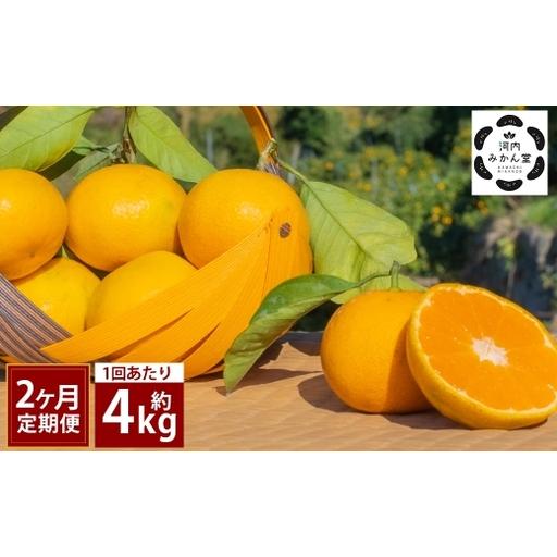 ふるさと納税 ＜ R8年熊本地震復興支援 ＞【 2ヶ月定期便 】 【 訳アリ 】 「 河内みかん堂 ...