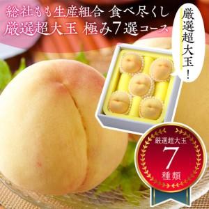 ふるさと納税 【全7回お届け】総社もも生産組合　食べ尽くし　厳選超大玉　極み7選コース【7月下旬以降発送】 岡山県岡山市