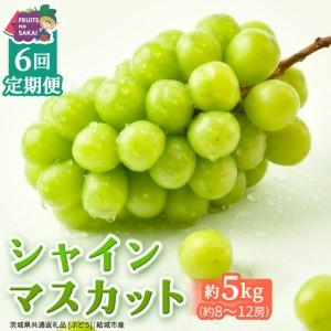 ふるさと納税 【定期便】6か月連続でお届け！ シャインマスカット 約5kg（約8〜12房）【2026年8月から発送開始】（茨城県共通返礼品 [ぶ.. 茨城県つくばみらい市