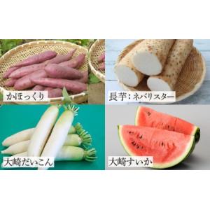 ふるさと納税 かほく市 おためしセット 〜旨味...の詳細画像2