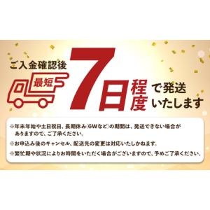 ふるさと納税 寿司ガリ 1kg がり Xnb-...の詳細画像1