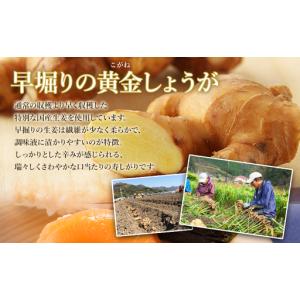 ふるさと納税 寿司ガリ 1kg がり Xnb-...の詳細画像2