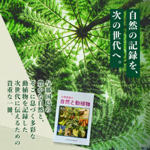 ふるさと納税 「与那国島の自然と動植物」 AH...の詳細画像4
