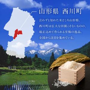 ふるさと納税 FYN2-452 【9月後半発送...の詳細画像2