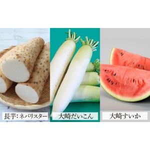 ふるさと納税 かほく市 農産物ブランド 6品目...の詳細画像2