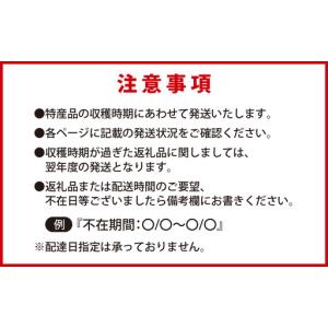 ふるさと納税 かほく市 農産物ブランド 6品目...の詳細画像3
