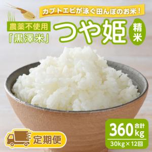 ふるさと納税 【12回定期便】農薬不使用 つや姫 精米 合計360kg(30kg×12回)＜カブトエビ田んぼで育てたお米＞ 黒澤米 宮城県登米市産 お米 .. 宮城県登米市