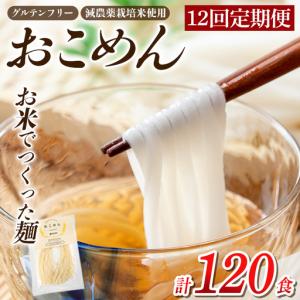 ふるさと納税 a1101-E 【12回定期便】おこめん(中麺) 1食100g(計120食 (10食×12回))【アグリベースAIRA】姶良市 麺 お米麺 グリテンフリ.. 鹿児島県姶良市