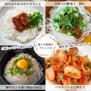ふるさと納税 a1101-E 【12回定期便】...の詳細画像2