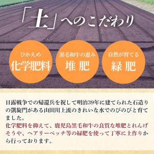 ふるさと納税 a1101-E 【12回定期便】...の詳細画像4