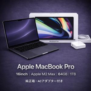 ふるさと納税 【整備済｜法人リースアップ品】MacBook Pro 16インチ M2 Max / 64GB / 1TB｜良好コンディション・動作確認済｜★化粧箱付き【現.. 神奈川県秦野市