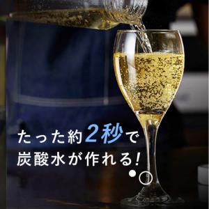ふるさと納税 e-soda 炭酸メーカー 訳あ...の詳細画像2