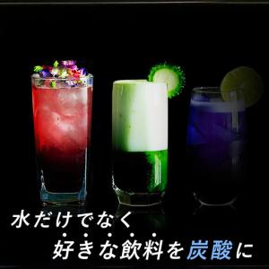 ふるさと納税 e-soda 炭酸メーカー 訳あ...の詳細画像4