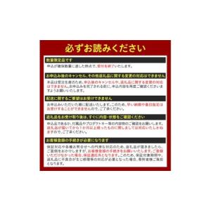 ふるさと納税 【新品】2026年2月発売NEC...の詳細画像3