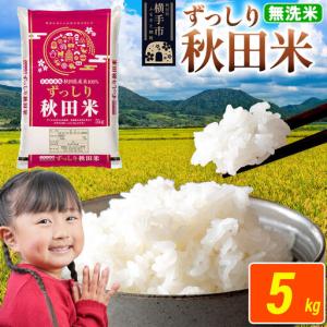 ふるさと納税 米 秋田県 横手市産 ブレンド米 令和7年産【無洗米】5kg（5kg×1袋） 秋田県横手市