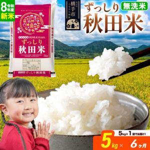 ふるさと納税 《令和8年産 新米受付》《定期便6ヶ月》秋田県 横手市産 ブレンド米【無洗米】5kg（5kg×1袋） 秋田県横手市