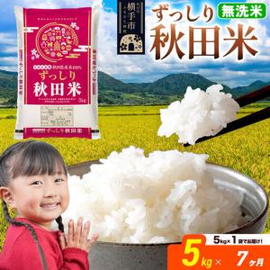 ふるさと納税 米《定期便7ヶ月》秋田県 横手市産 ブレンド米 令和7年産【無洗米】5kg（5kg×1袋） 秋田県横手市