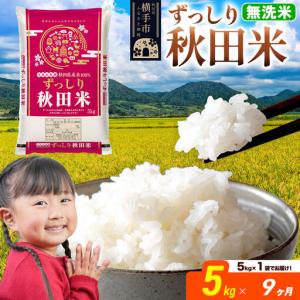 ふるさと納税 米《定期便9ヶ月》秋田県 横手市産 ブレンド米 令和7年産【無洗米】5kg（5kg×1袋） 秋田県横手市