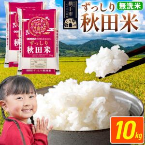 ふるさと納税 米 秋田県 横手市産 ブレンド米 令和7年産【無洗米】10kg（5kg×2袋） 秋田県横手市