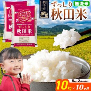 ふるさと納税 米《定期便10ヶ月》秋田県 横手市産 ブレンド米 令和7年産【無洗米】10kg（5kg×2袋） 秋田県横手市