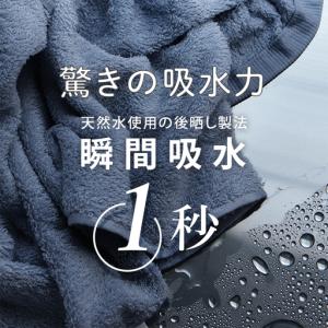 ふるさと納税 ヒオリエ ホテルフェイスタオル5...の詳細画像2