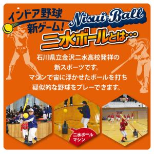 ふるさと納税 新インドアベースボール「二水ボー...の詳細画像1