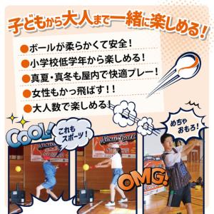 ふるさと納税 新インドアベースボール「二水ボー...の詳細画像2