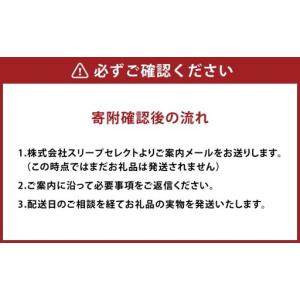 ふるさと納税 【 Sealy 】 ブラックレー...の詳細画像4