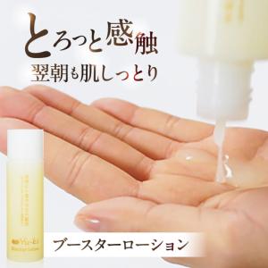 ふるさと納税 【全6回定期便】【大人の女性のた...の詳細画像1