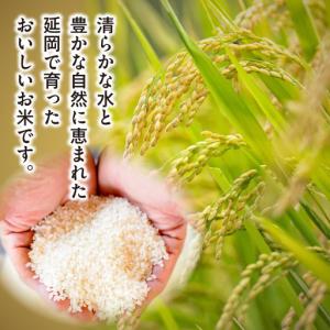 ふるさと納税 延岡産ヒノヒカリ(無洗米)10k...の詳細画像3
