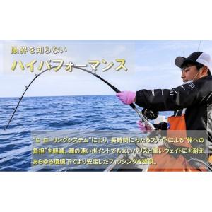 ふるさと納税 剛樹 アルティスタLTディープ ...の詳細画像2